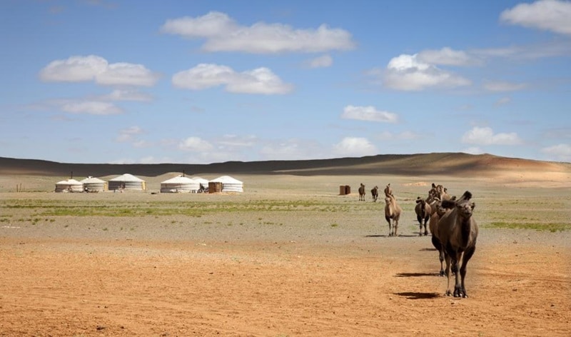 On vous fait découvrir les plus belles choses à faire en Mongolie