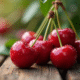 Gros plan de cerises fraîches avec rosée du matin